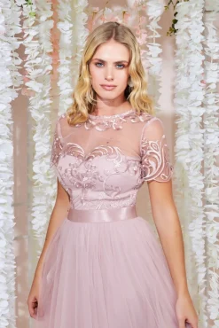 Maxi Dresses^* Embroidered Mesh Maxi Dress Blush
