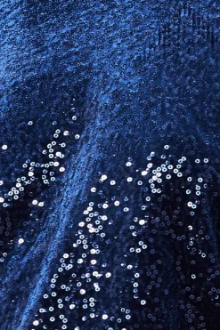 Jumpers^* Sequin Velvet Jumper Navy