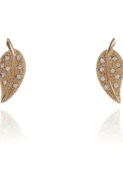 Jewellery^Cachet London Leafy Earrings 18Ct Plated Gold