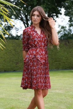 Mini Dresses^Double Second Red Floral Chiffon Pleat Detail Dress Multired