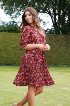 Mini Dresses^Double Second Red Floral Chiffon Pleat Detail Dress Multired