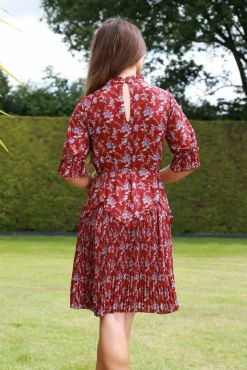 Mini Dresses^Double Second Red Floral Chiffon Pleat Detail Dress Multired