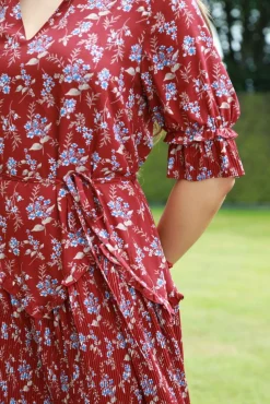 Mini Dresses^Double Second Red Floral Chiffon Pleat Detail Dress Multired